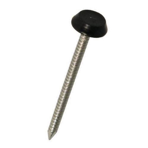 Stainless Plastic Headed Pins All Colours